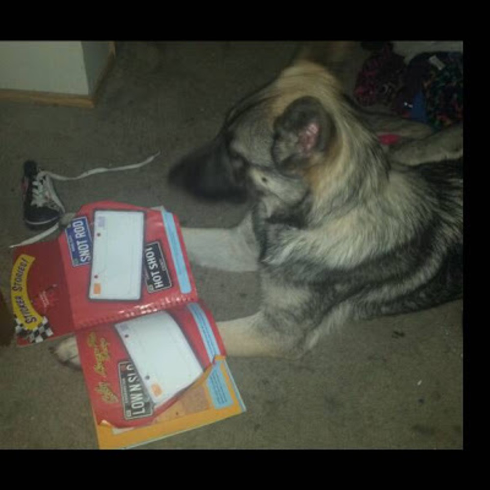 Meet your Posher, Bree